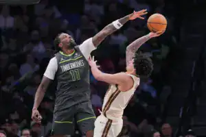 minnesota timberwolves