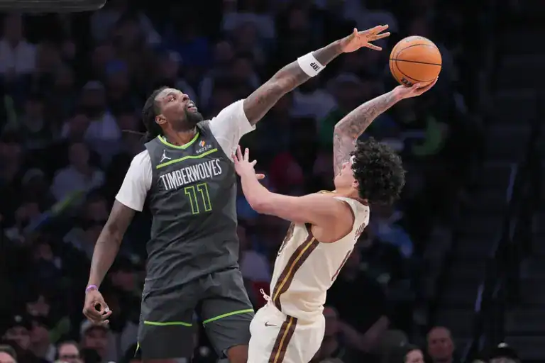 minnesota timberwolves