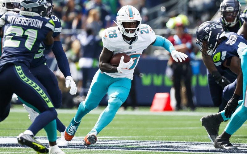 miami dolphins