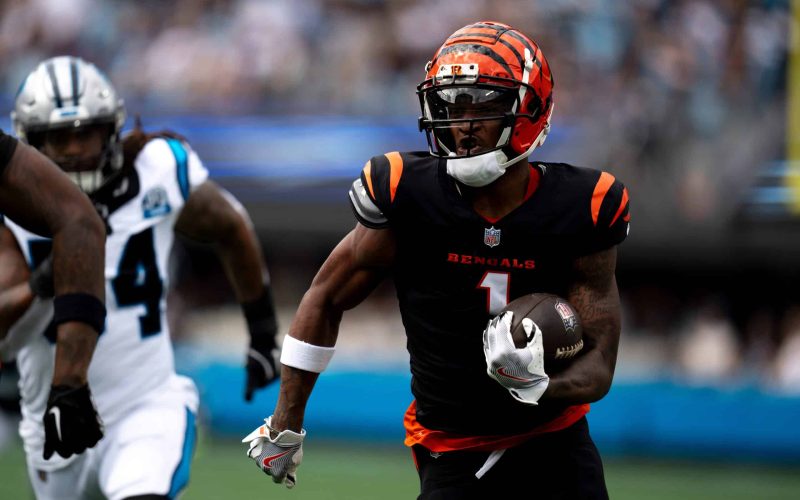 Cincinnati bengals