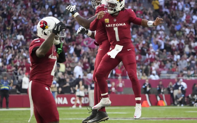 arizona cardinals