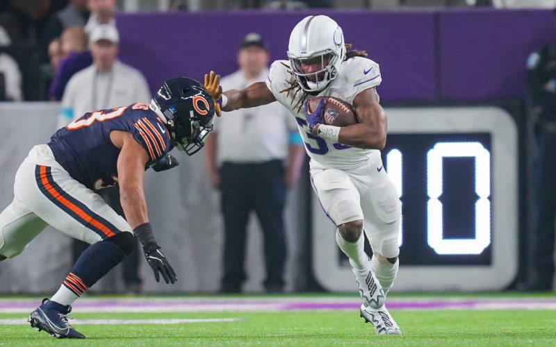 minnesota vikings