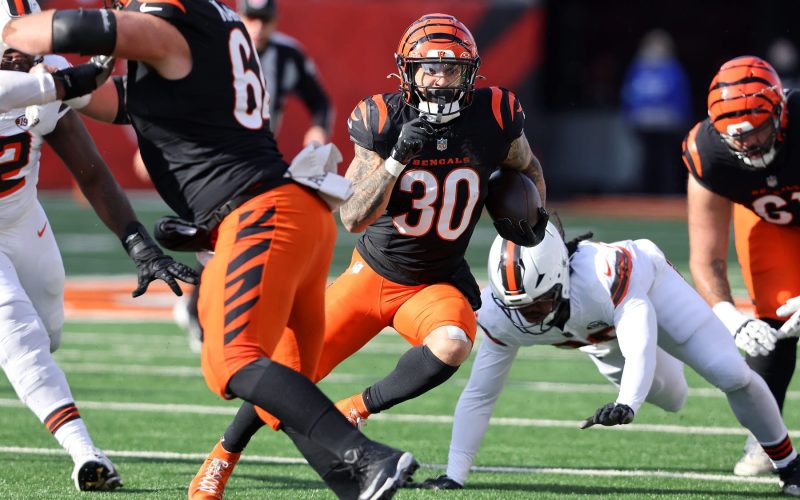 cincinnati bengals