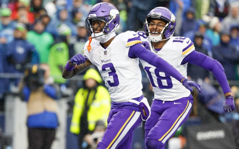 minnesota vikings