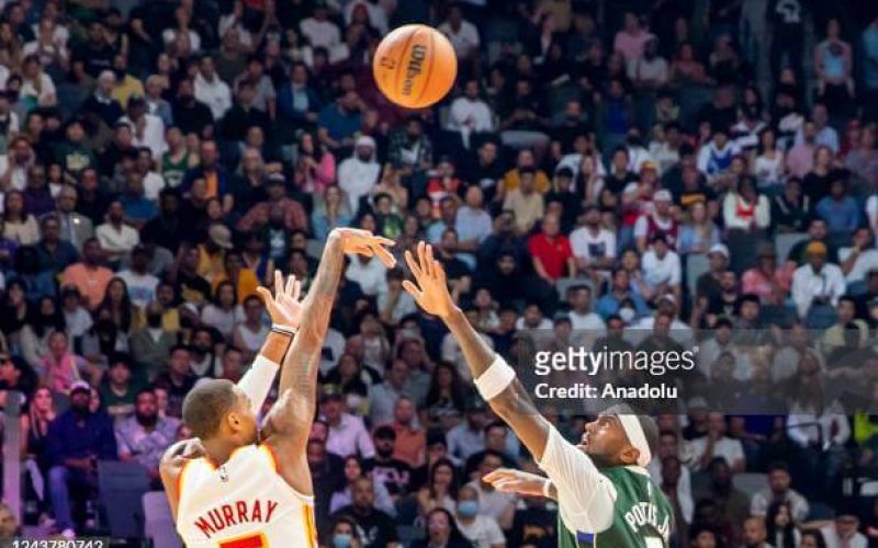 Atlanta hawks