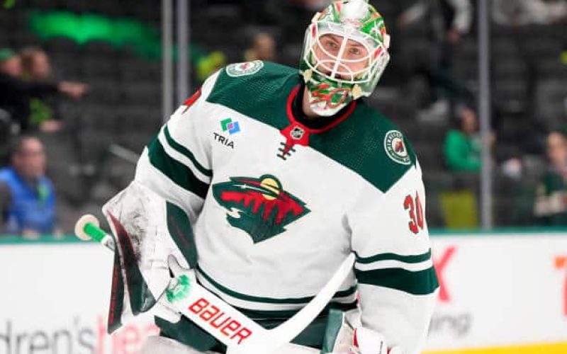 Jesper Wallstedt, Minnesota Wild